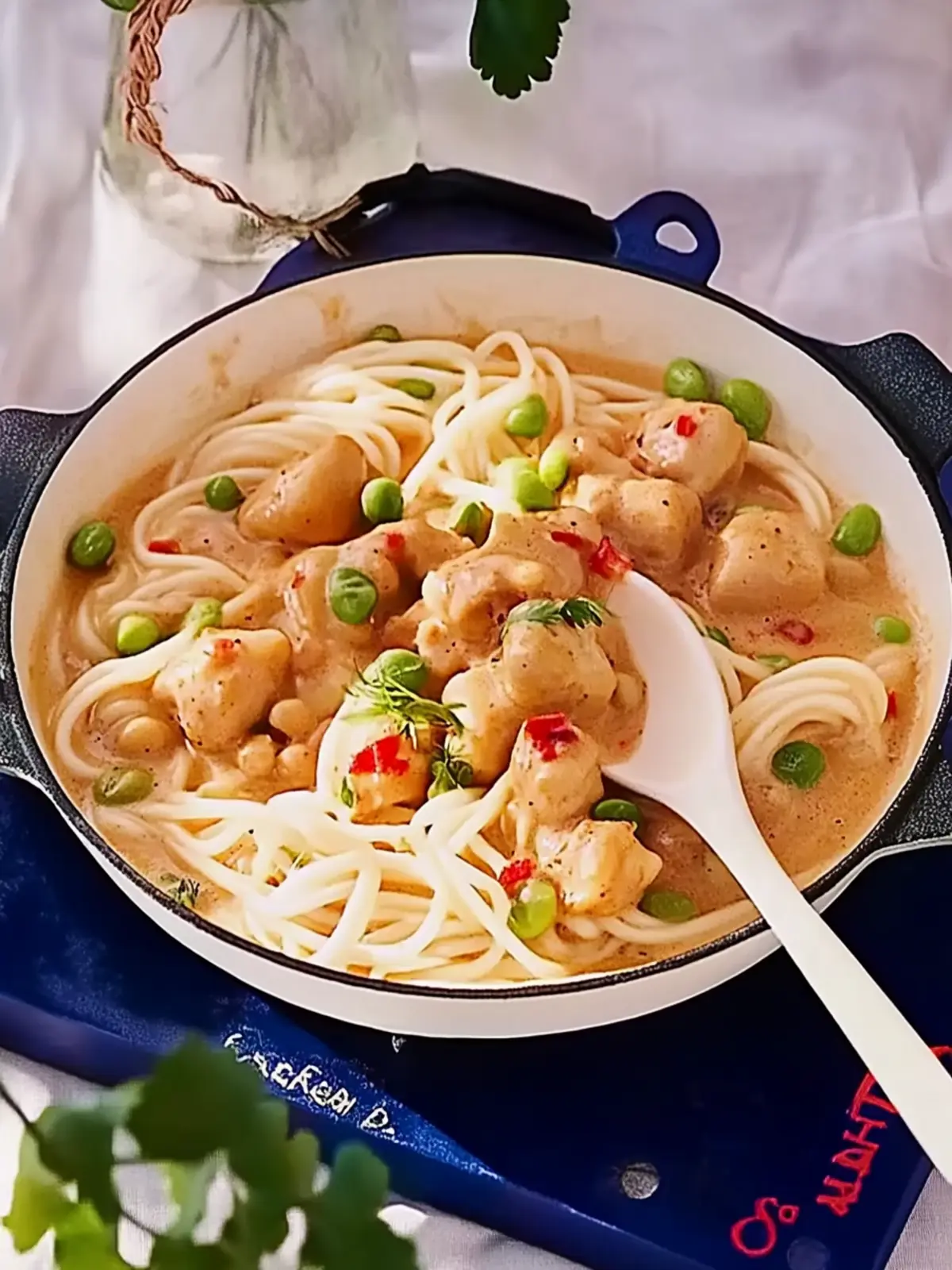 Hähnchenfilet in Saté-Soße mit Udon-Nudeln